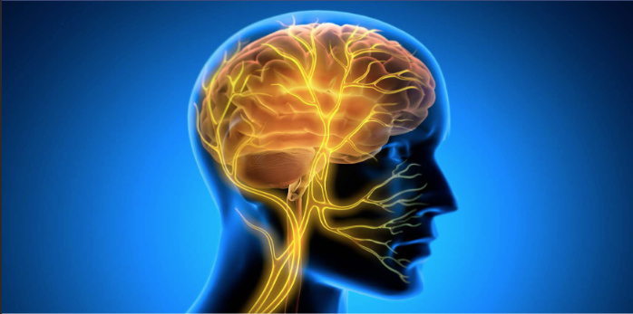 Inauguration du Centre SMART-SNV de stimulation non invasive du Nerf Vague